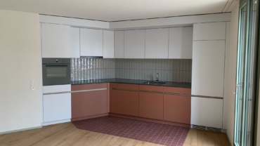 Wohneinheiten in Rapperswil Küchen und Türen (3)